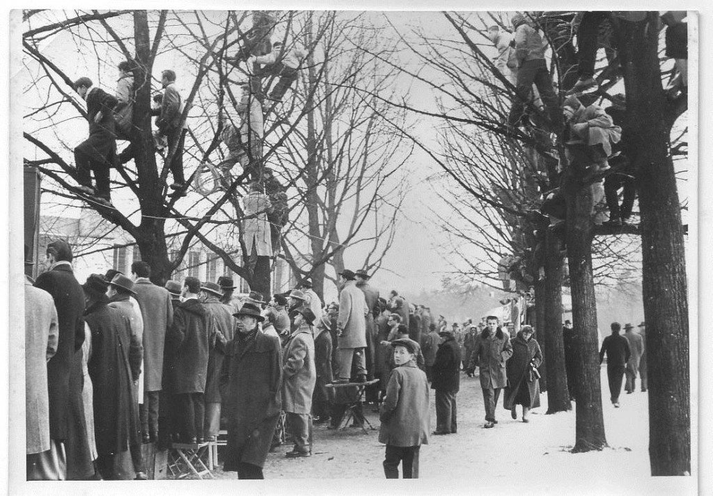 Zuschauer im Ronhof: 50er Jahre